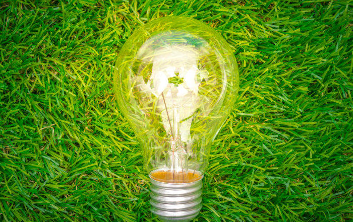 Green Economy: finanziamenti