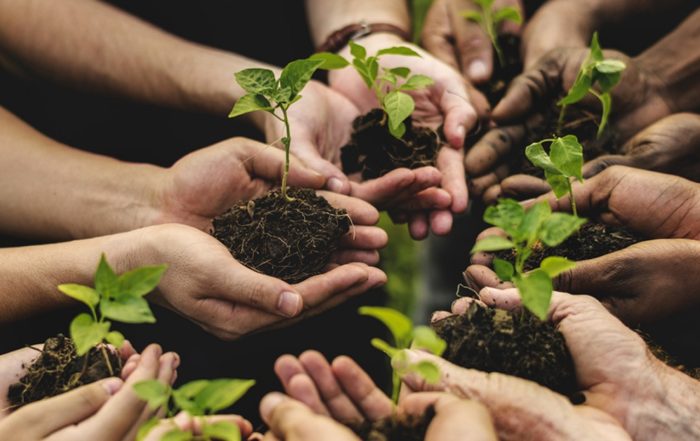 PSR MARCHE AGRICOLTURA SOCIALE