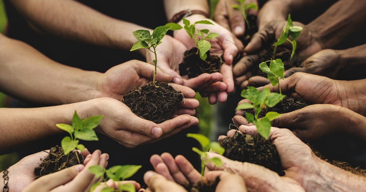 PSR MARCHE AGRICOLTURA SOCIALE