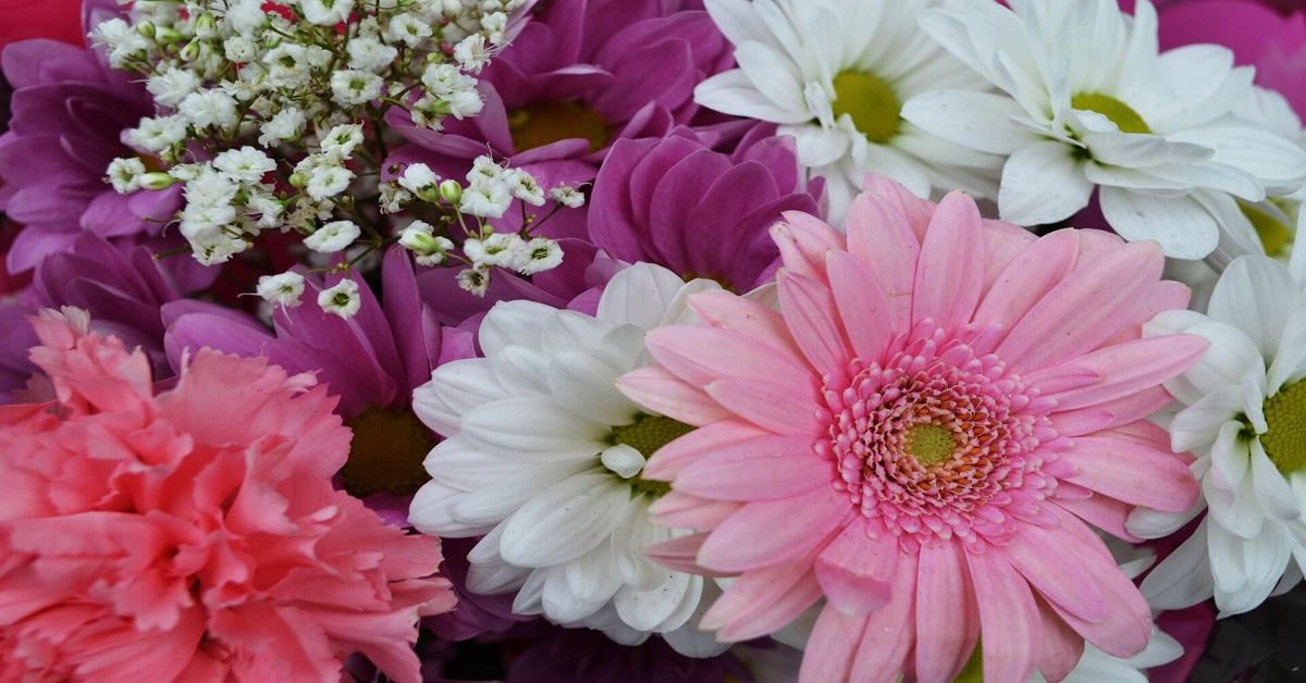 Contributi a fondo perduto Floricoltura