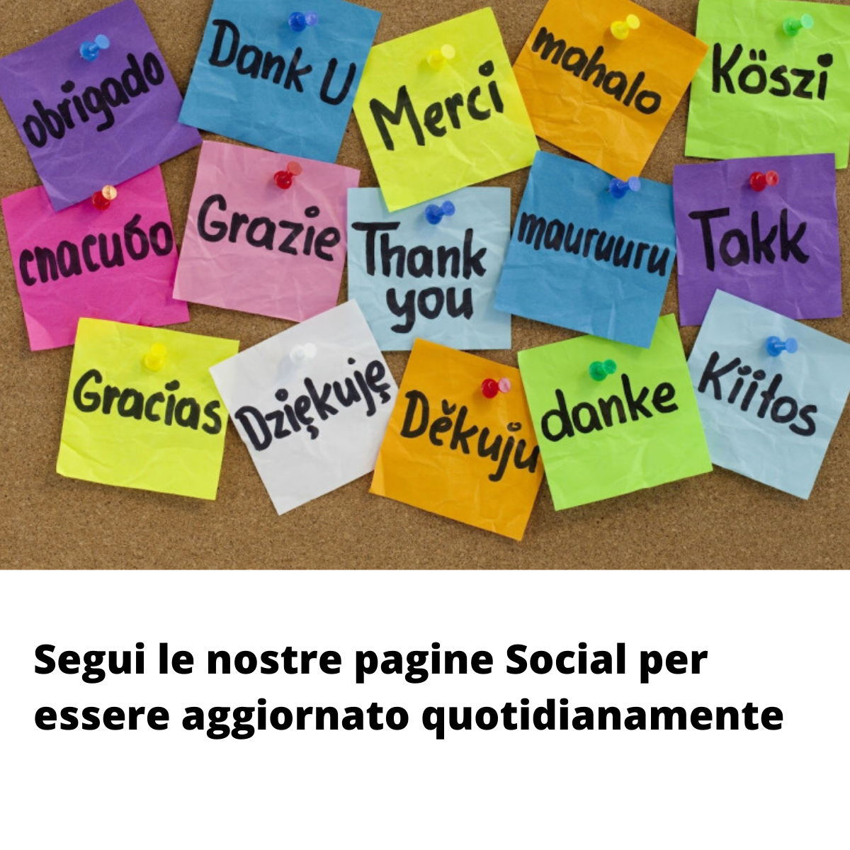 Pagina di Ringraziamento