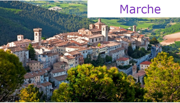 Finanza Agevolata Marche