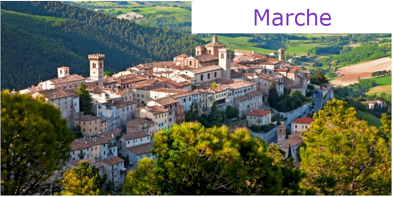 Finanza Agevolata Marche