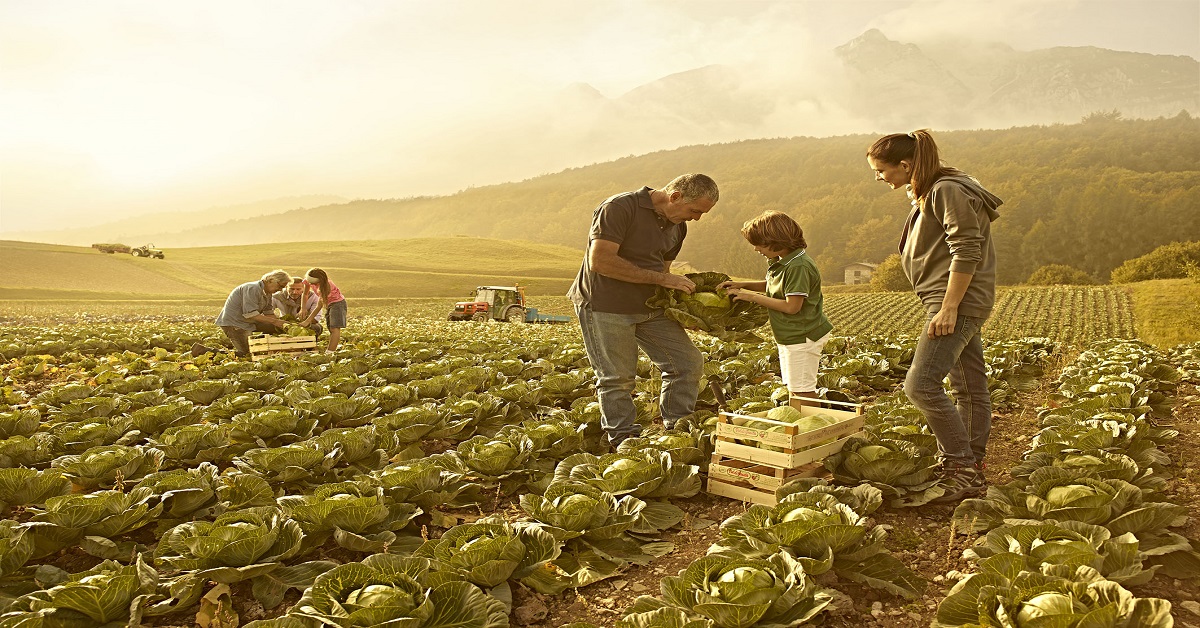 Contributi Imprese Agricole Lazio