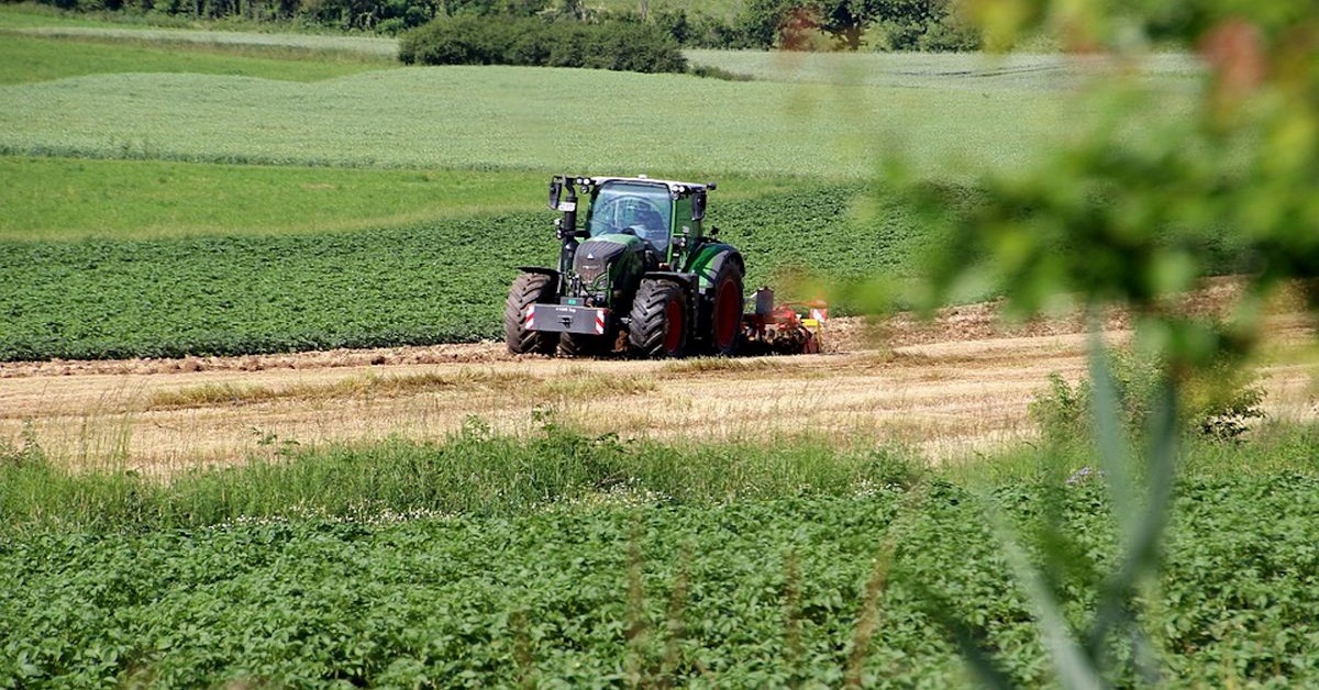 Contributi Agricoli Lazio