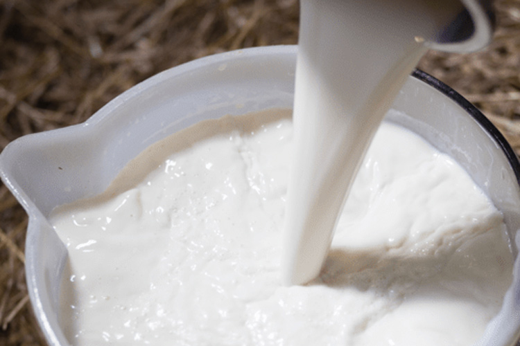Aiuti Filiera del LAtte