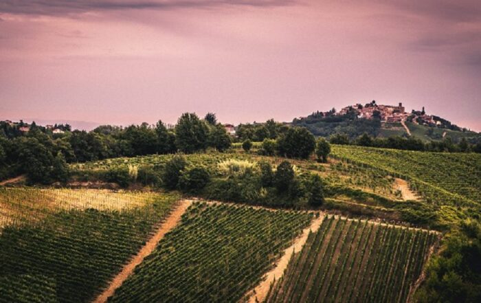 terreno agricolo