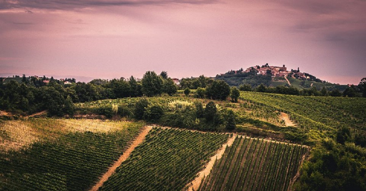 terreno agricolo