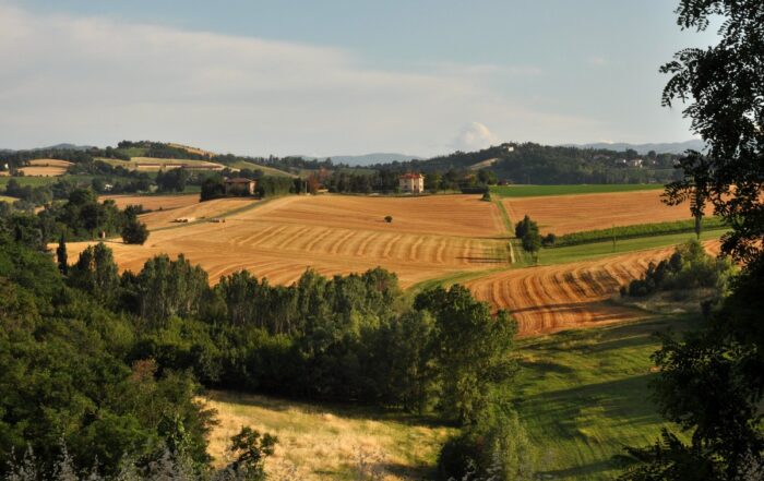 terreno rurale
