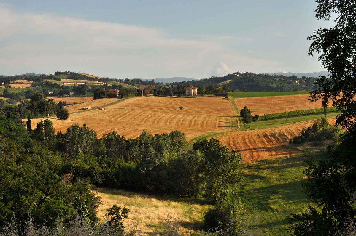 terreno rurale