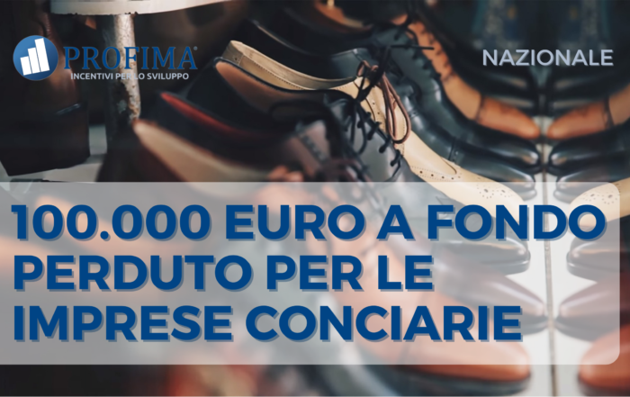 NAZIONALE industria conciaria