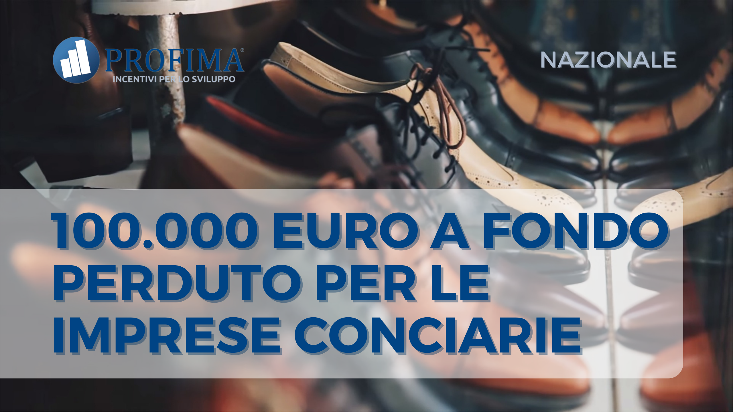 NAZIONALE industria conciaria